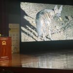 Teammate Vasudha Mishra presented her research work conducted as part of HEAL's Striped Hyena Project t the Student Conference for Conservation Science in Bengaluru<br><b>09 - 12 October 2023</b>