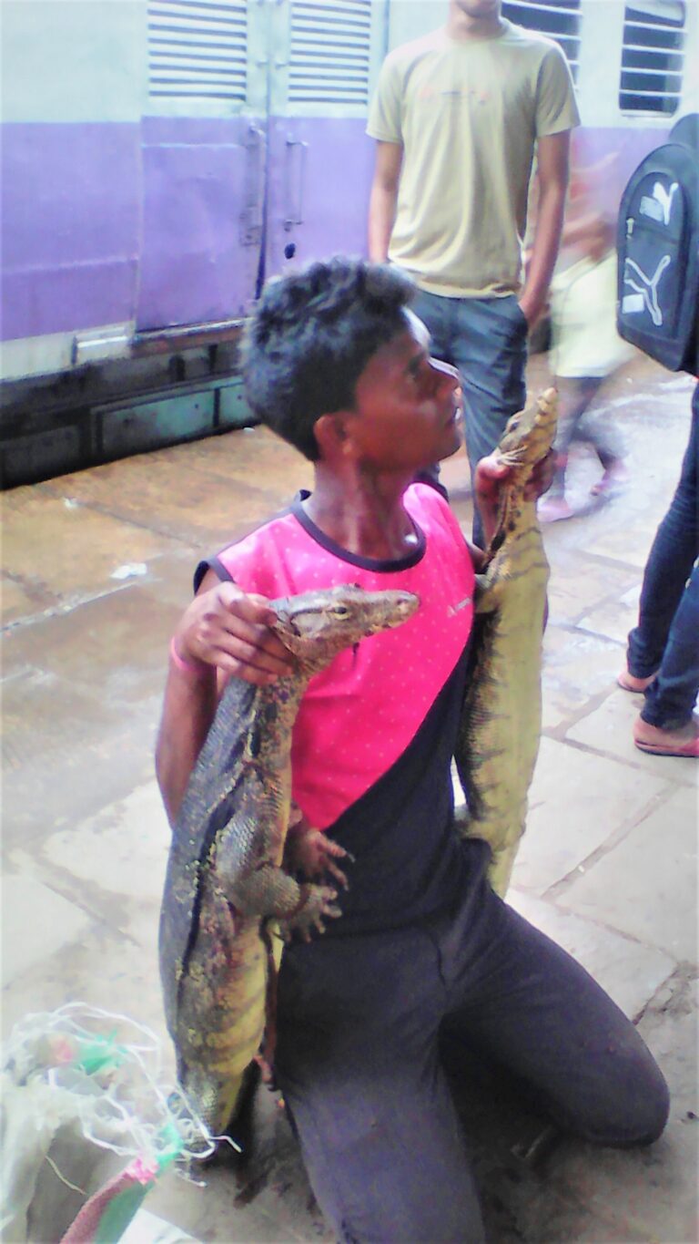 A young hunter with two poached water monitor lizards