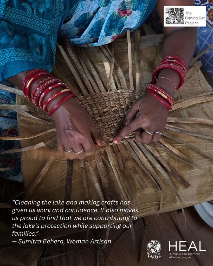 The women feel proud of their work and happy that they have an additional source of income while aiding in saving the lake from water hyacinth