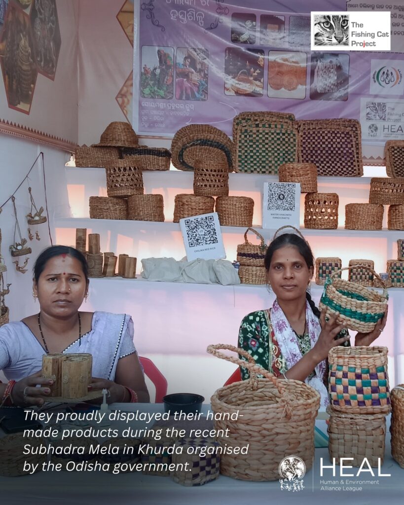 Women artisans displaying their hand-made products made out of invasive water hyacinth harvested from Chilika Lake