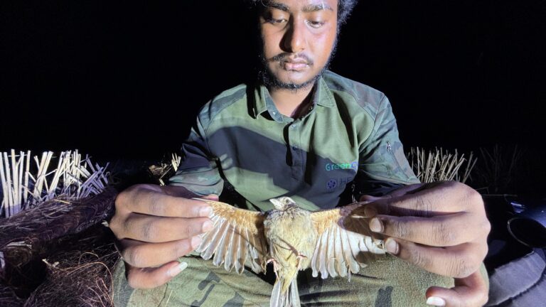 Bird poaching murshidabad HEAL