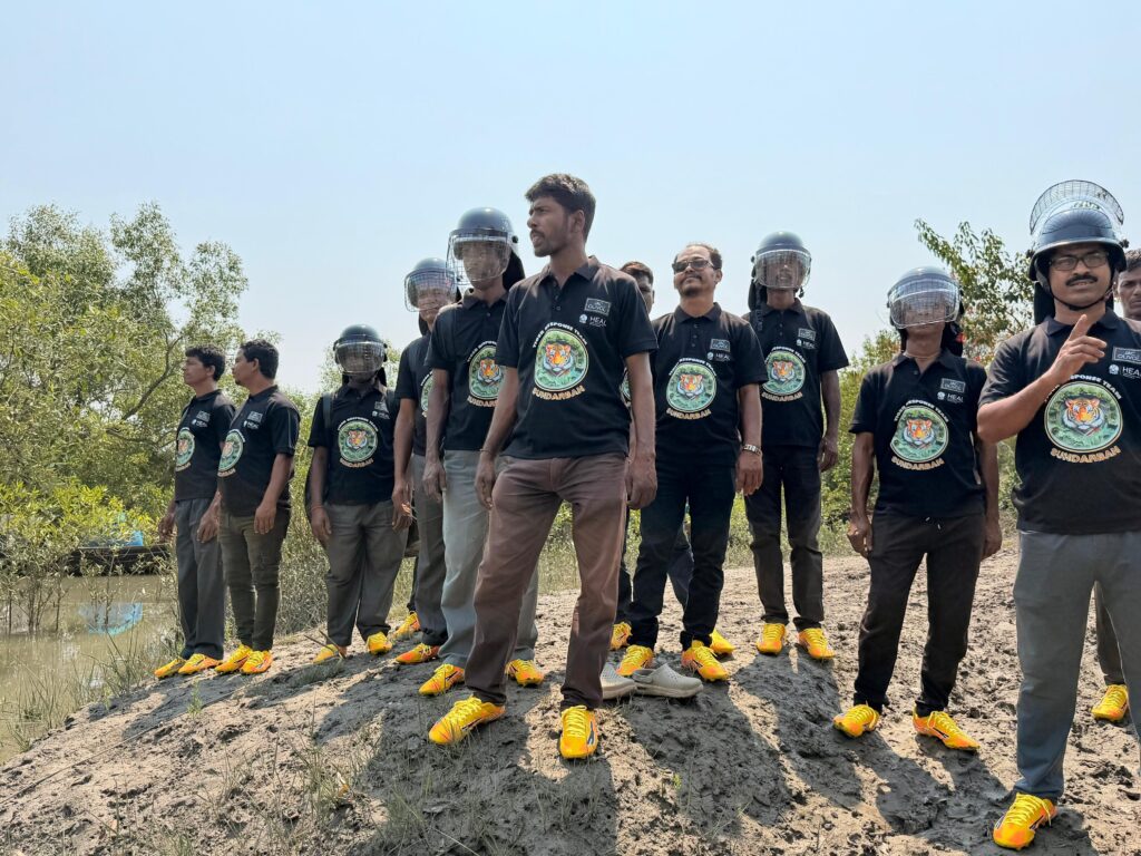 Tiger Protective Gear Included helmets, chest guard, arms, legs, shoulder guard and shoes apart from torches. 