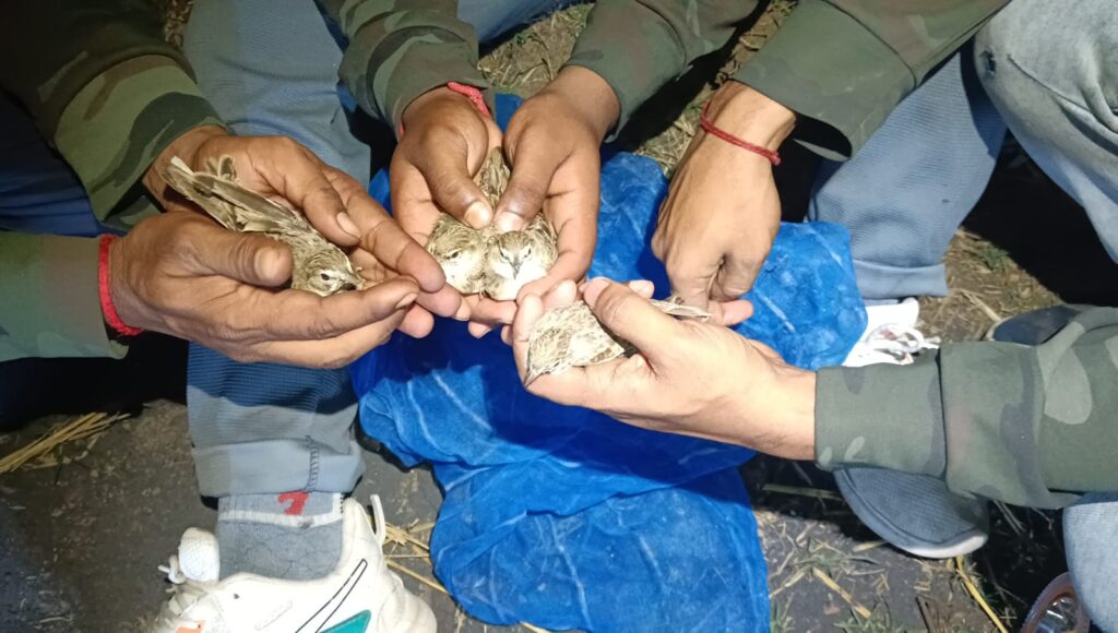 migratory bird rescued alive from poacher's net in Murshidabad by HEAL in 2026