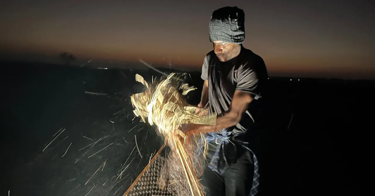 migratory bird poaching