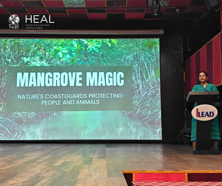 Vasudha Mishra talks about Mangroves and their importance