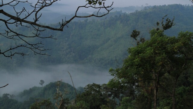 Sangu-Matamuhuri Reserve Forest