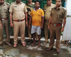 Arrest of turtle trader in Malda district
