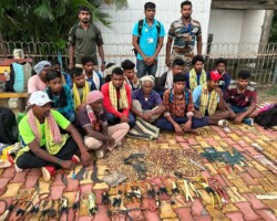 Faloharini Hunt Monitoring 2023