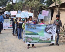 Fishing cat awareness rally in Malda