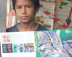 Fishing Cat Awareness Drive
