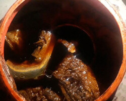 Dolphin Oil Trade Investigation Dolphin Blubber Thumbnail