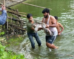 Critically Endangered Turtles in Temple Pond Afflicted by Unknown Sickness