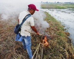 Counteracting bird poaching in Murshidabad