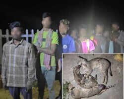 Arrest of Hunting Party in Murshidabad