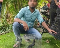 Arrest of Illegal Wildlife Trader in Baruipur