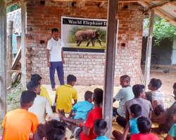 HEAL celebrates World Elephant Day 2023