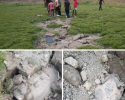Team HEAL Rescues Turtles from a Dried-up Pond in Baneshwar, Cooch Behar