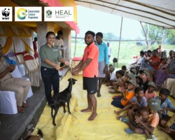 HEAL Initiates a Seed Goat Bank in Simni village, Jhalda-II block